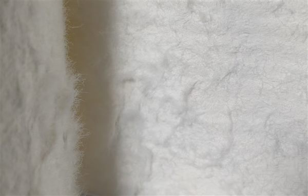 木材纤维 — Wood Fiber
