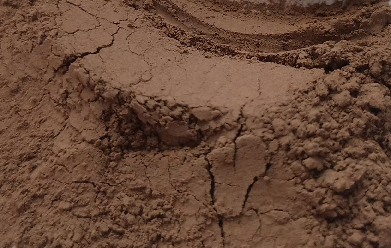 生物纤维织物样品，编织成布料状的纤维材料，纹理清晰，质地柔软，体现纺织品特性