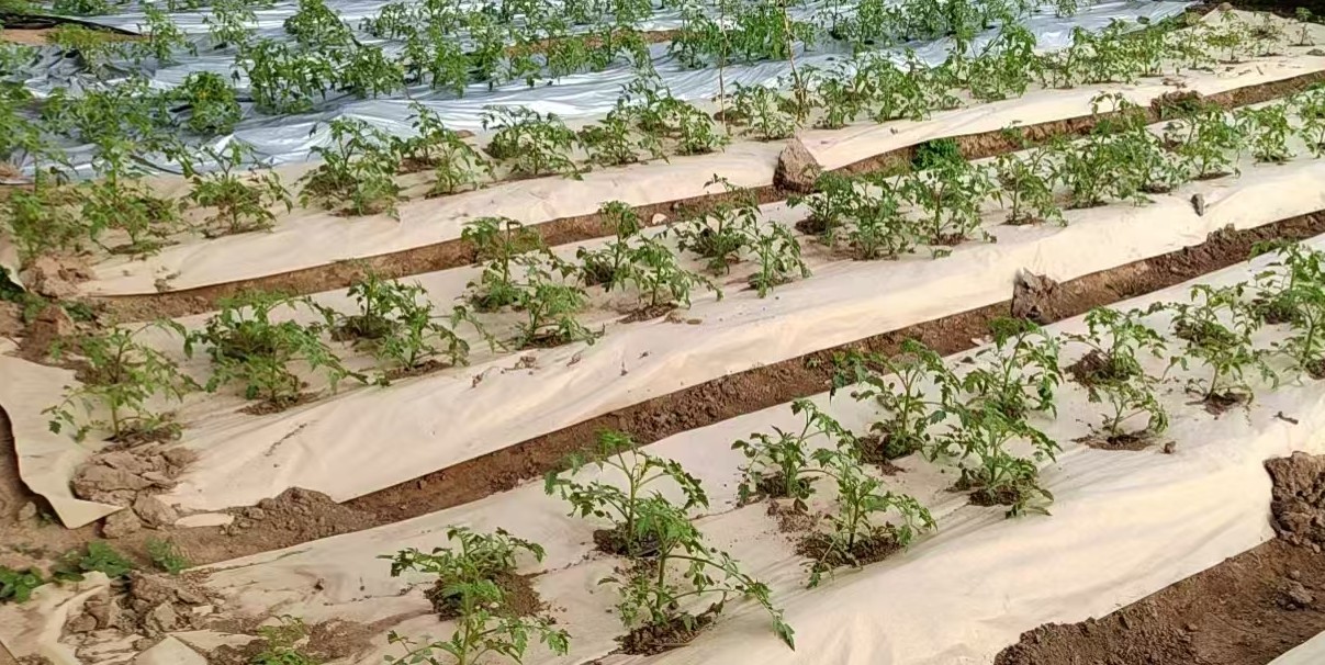 生物基润滑剂产品，透明液体装在专用容器中，标签显示润滑性能参数，体现环保润滑特性